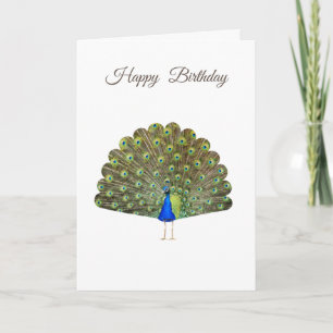 Schöner Pfau auf weißem Geburtstag