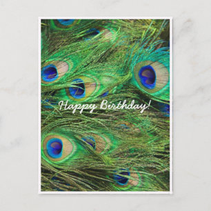 Schöner Pfau individuell anpassbar Postkarte