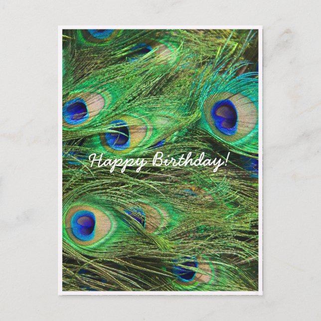 Schöner Pfau individuell anpassbar Postkarte (Vorderseite)