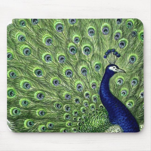 Schöner Pfau Mousepad (Vorne)