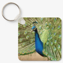 Schöner Pfau
