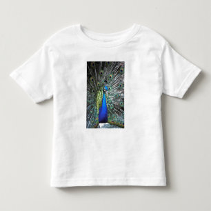Schöner Pfau spreizt farbenfrohe Federn Kleinkind T-shirt