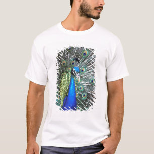 Schöner Pfau spreizt farbenfrohe Federn T-Shirt