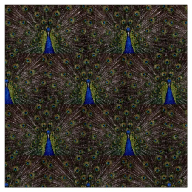 Schöner Pfau Stoff (Muster)