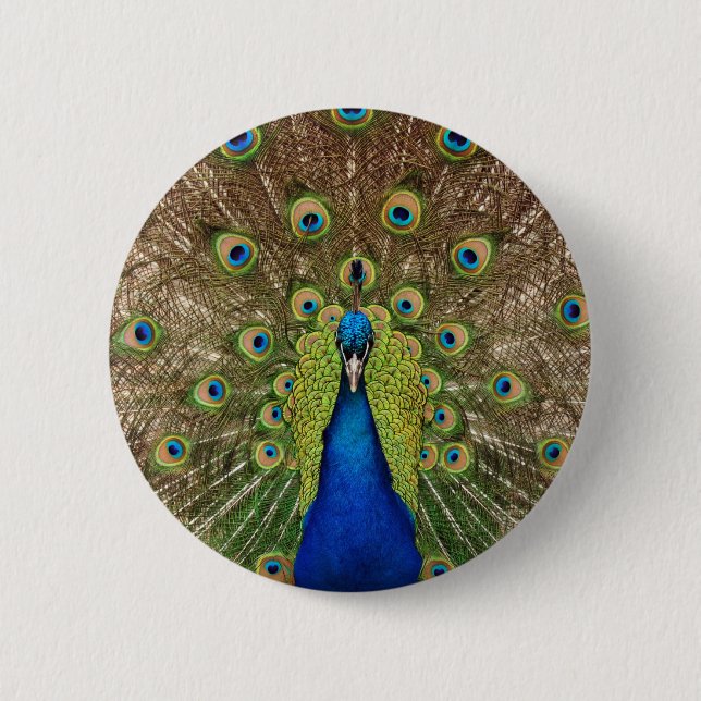 Schöner Pfau- und Schwanz-Federn drucken Button (Vorderseite)