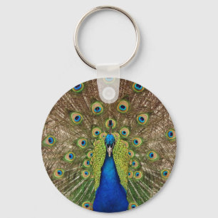 Schöner Pfau- und Schwanzfederdruck Schlüsselanhänger