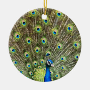 Schöner Pfauen Vogel Keramik Ornament