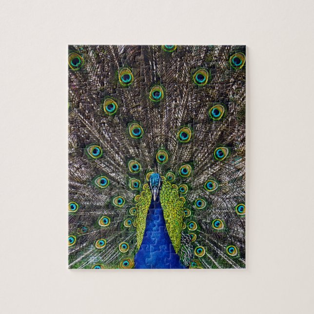 Schöner Pfauenvogel (Vertikal)