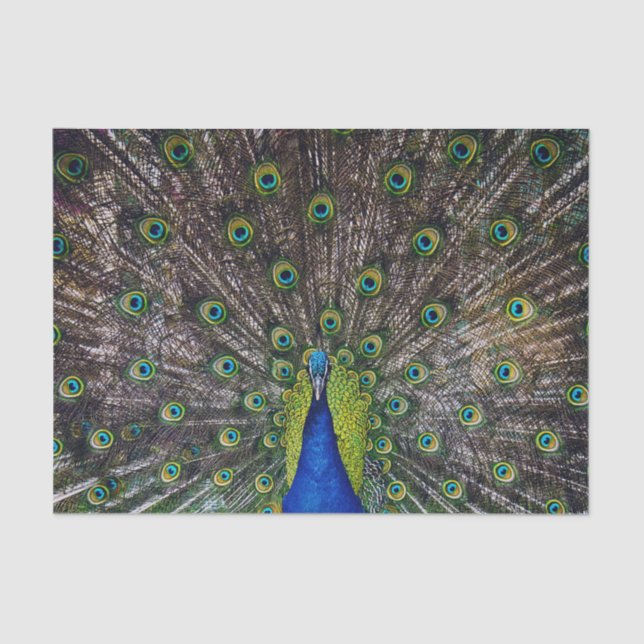 Schöner Pfauenvogel Seidenpapier (Vorderseite)