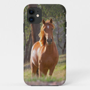 Schöner PferdiPhone 5 Fall für Pferdeliebhaber iPhone 11 Hülle