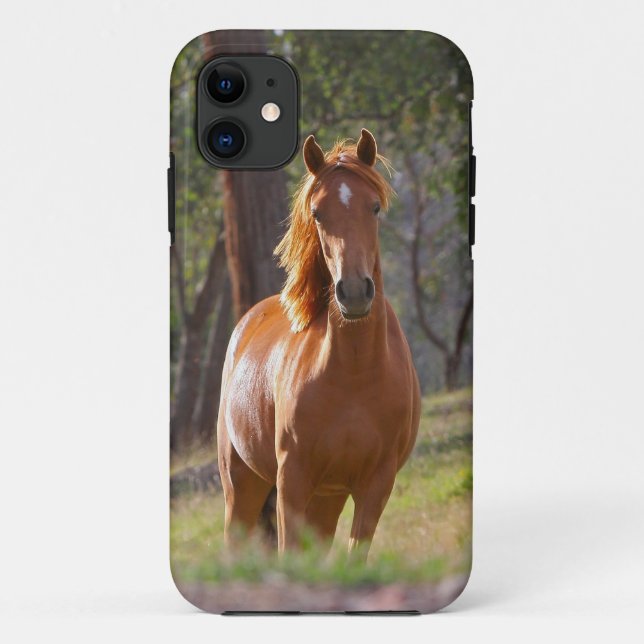Schöner PferdiPhone 5 Fall für Pferdeliebhaber Case-Mate iPhone Hülle (Rückseite)
