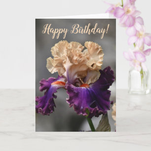 Schöner Pfirsich und Lila Iris Geburtstag Karte
