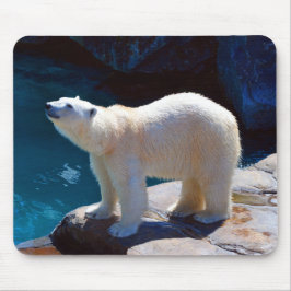 Schöner Polar Bear Mouse Pad Mousepad