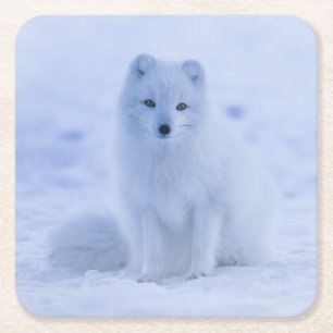 Schöner Polarktischer Fox im Schnee Rechteckiger Pappuntersetzer