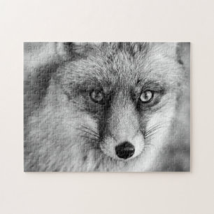 Schöner Red Fox in Schwarz & Weiß, Jigsaw Puzzle