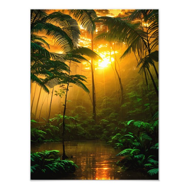 Schöner Regenwald mit Sonnenuntergang Fotodruck (Vorne)