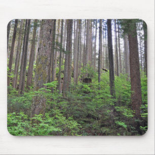 Schöner Regenwald Mousepad