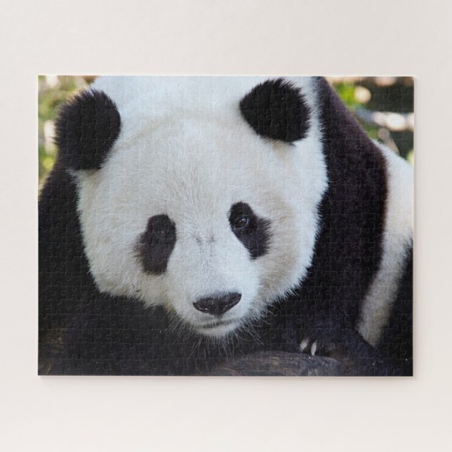 Schöner Riesenpanda, Jigsaw Puzzle (Horizontal)