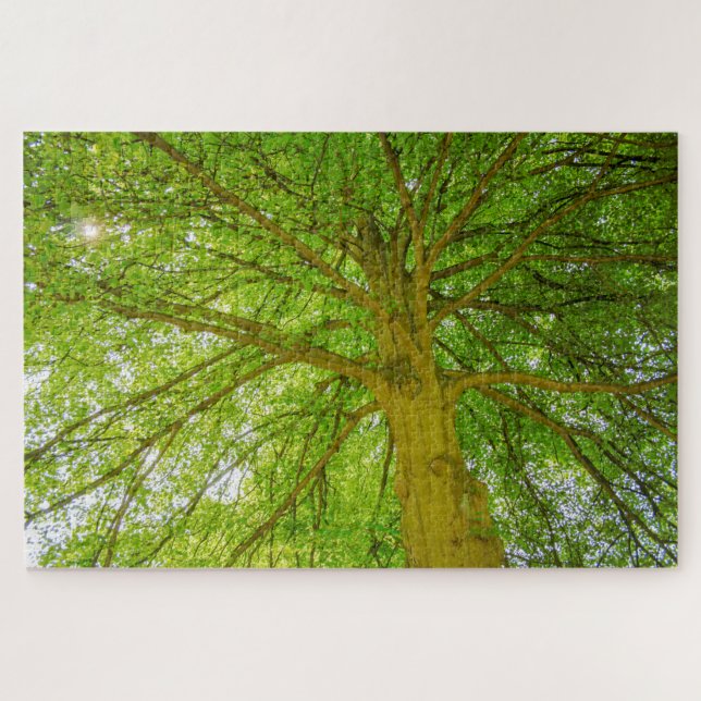Schöner riesiger Grünbaum (Horizontal)