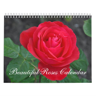 Schöner Rosenkalender Kalender
