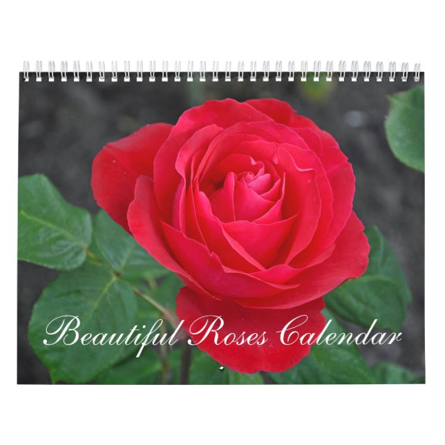 Schöner Rosenkalender Kalender (Titelbild)