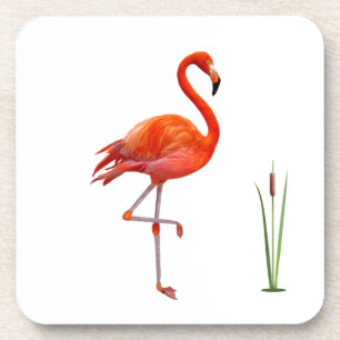 Schöner roter Flamingovogel und Schilfpflanze auf  Getränkeuntersetzer