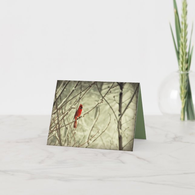 Schöner roter NordKardinals-Vogel Karte (Vorderseite)