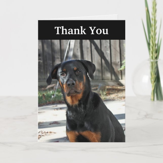 Schöner Rottweiler danken Ihnen zu kardieren Dankeskarte (Vorderseite)