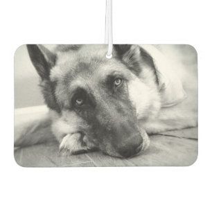 Schöner Schäferhund-Auto-Lufterfrischer Autolufterfrischer