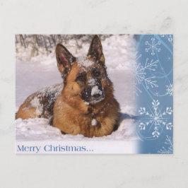 Schöner Schäferhund-Hund im Schnee Feiertagspostkarte