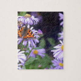 Schöner Schmetterling auf Blume
