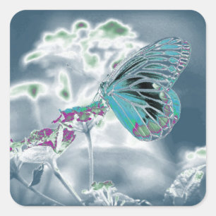 Schöner Schmetterling auf Blume - Negatives Foto 2 Quadratischer Aufkleber