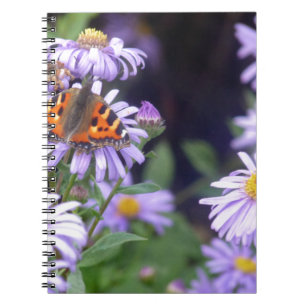Schöner Schmetterling auf Blume Notizblock