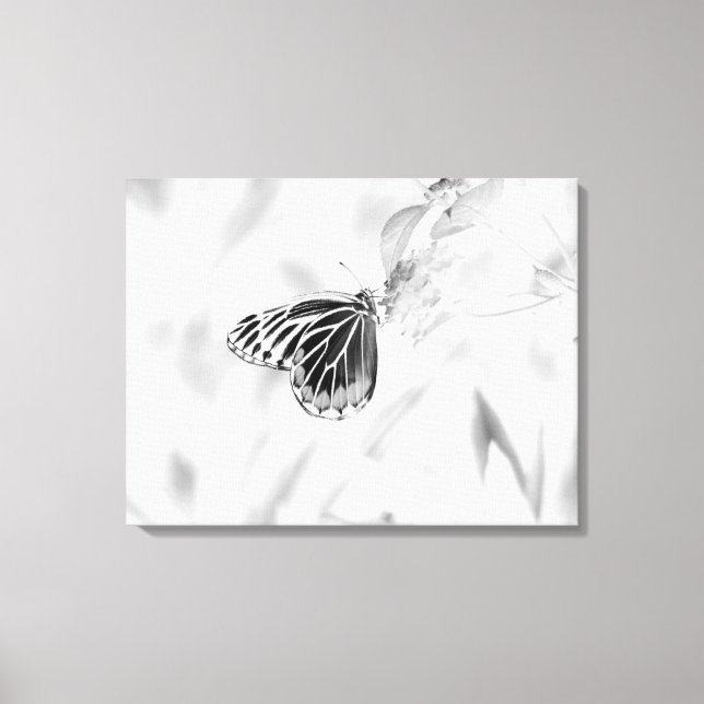 Schöner Schmetterling auf der Blume - Schwarz und  Leinwanddruck (Vorderseite)