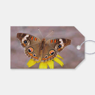 Schöner Schmetterling auf der Gelben Blume Geschenkanhänger