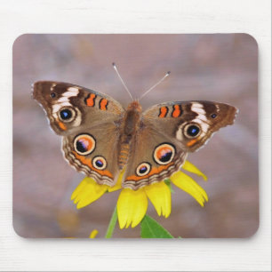 Schöner Schmetterling auf der Gelben Blume Mousepad