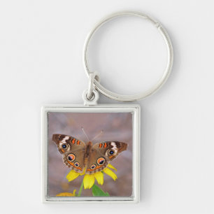Schöner Schmetterling auf der Gelben Blume Schlüsselanhänger