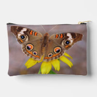Schöner Schmetterling auf der Gelben Blume