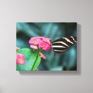 Schöner Schmetterling auf einer rosa Blume Leinwanddruck