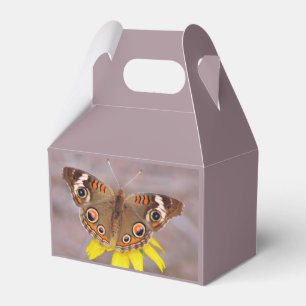 Schöner Schmetterling auf gelber Blume Geschenkschachtel