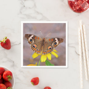 Schöner Schmetterling auf gelber Blume  Serviette