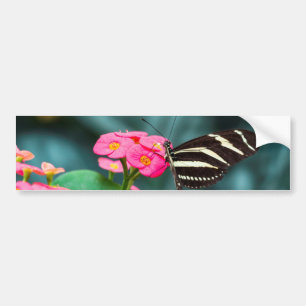Schöner Schmetterling auf rosa Blume Autoaufkleber