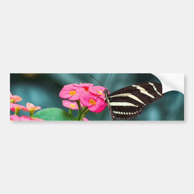 Schöner Schmetterling auf rosa Blume Autoaufkleber (Vorne)