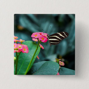 Schöner Schmetterling auf rosa Blume Button