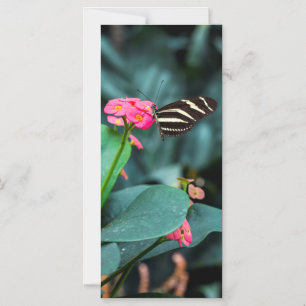 Schöner Schmetterling auf rosa Blume Magneteinladung