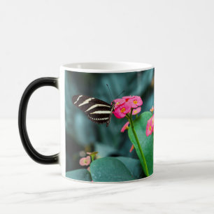 Schöner Schmetterling auf rosa Blume Verwandlungstasse
