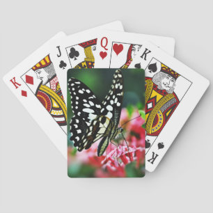 Schöner Schmetterling auf roter Blume Spielkarten