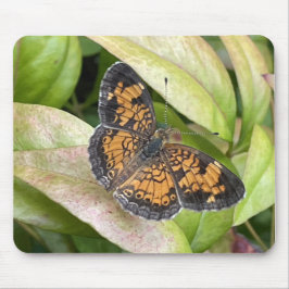 Schöner Schmetterling in Nature Mousepad