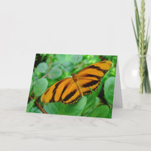 Schöner Schmetterling Karte