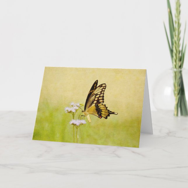 Schöner Schmetterling und Blume Art Scripting Card Karte (Vorderseite)